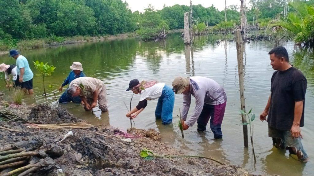 Wujudkan Tambak Ramah Lingkungan Dengan Penanaman Mangrove Kaltim Today