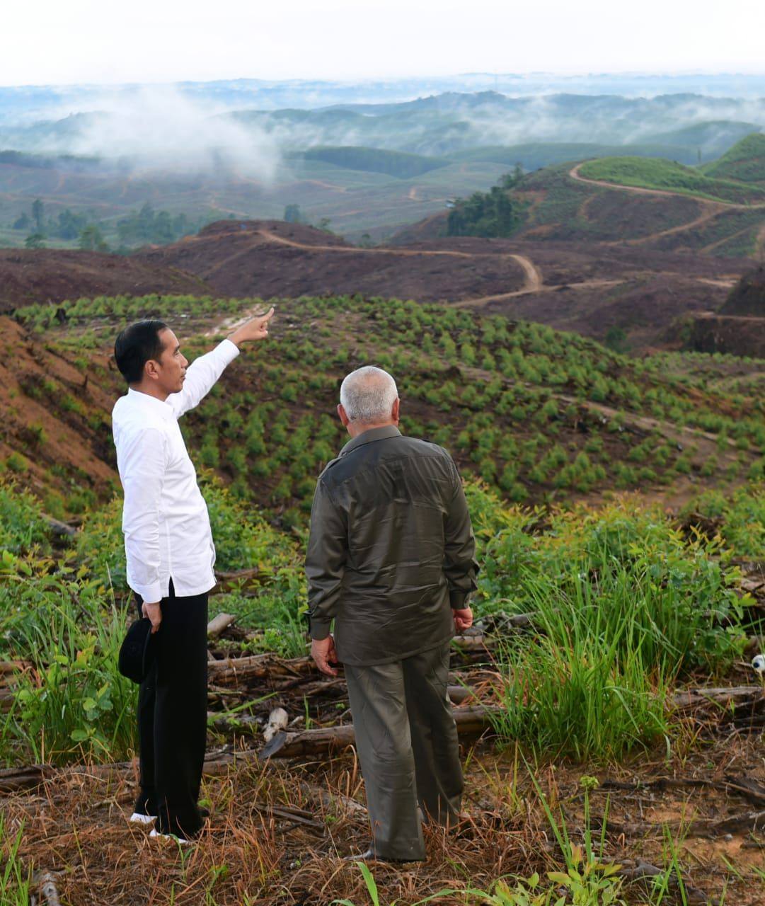 Presiden Jokowi didampingi Gubernur Kaltim Isran Noor meninjau lokasi IKN di Sepaku, PPU. (Setneg)
