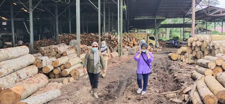 DLH Samarinda Pantau Pabrik Plywood di Loa Buah