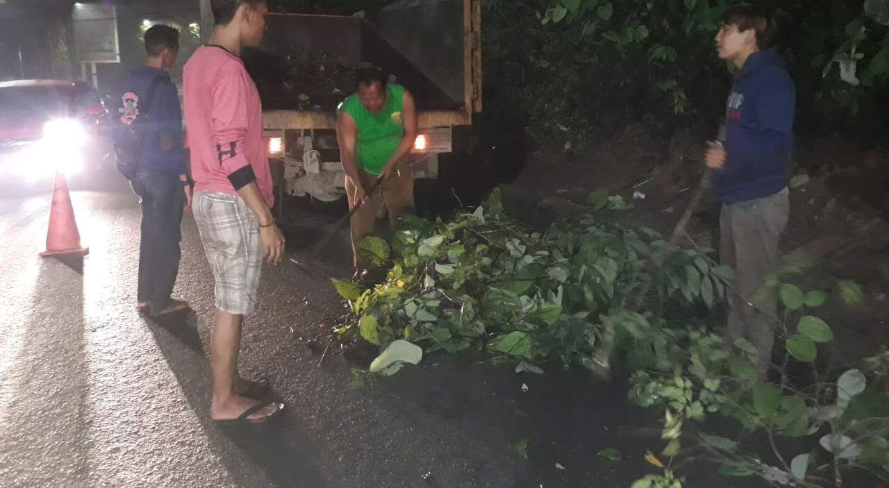 Tim Reaksi Cepat DLH Samarinda Evakuasi Pohon Tumbang