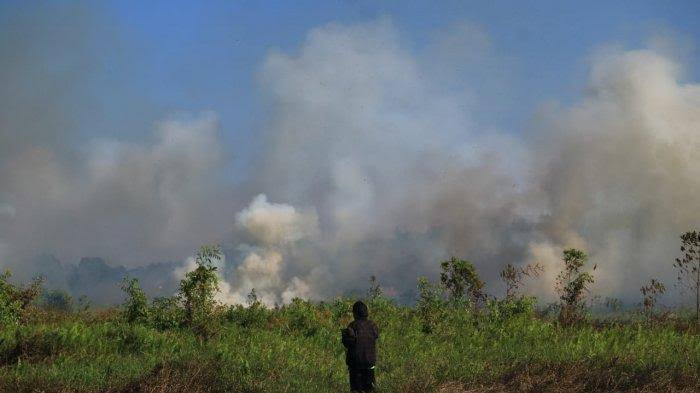Baru Masuk Musim Kemarau, Sudah Belasan Hektare Lahan di Samarinda Terbakar