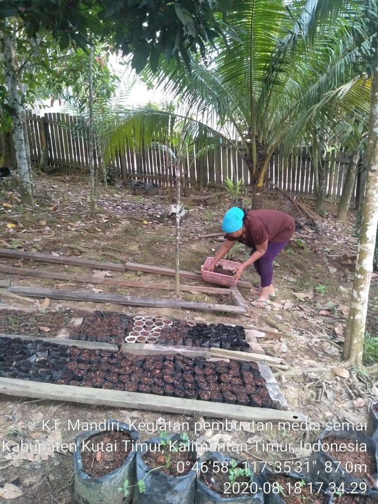 Dongkrak Perekonomian dan Penuhi Ketersediaan Konsumsi, DPTPH Lirik Potensi Program Family Farming di Kutai Timur