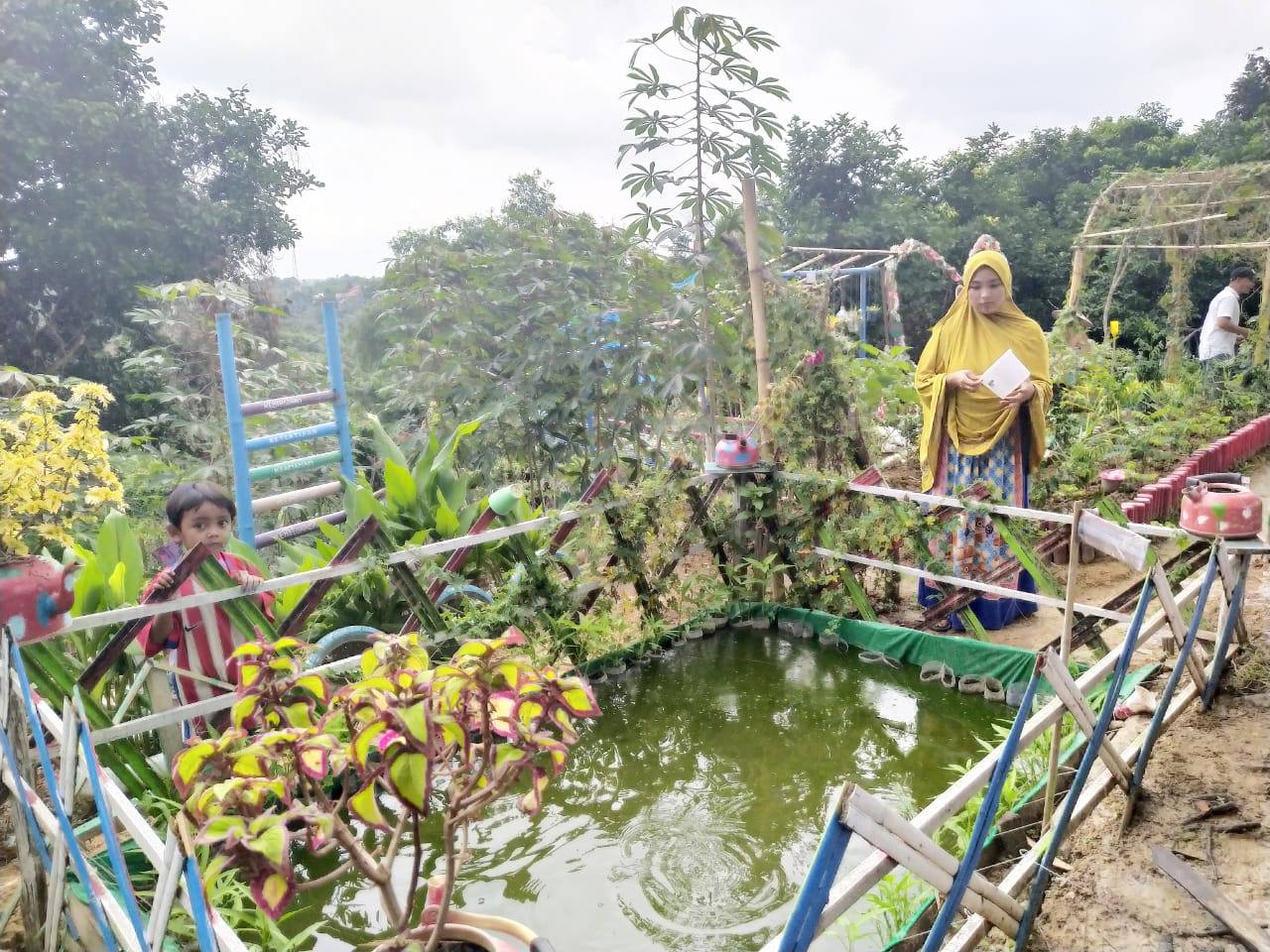 Dasa Wisma Pucuk di Desa Batuah Jadi Kebun Edukasi dan Ketahanan Pangan