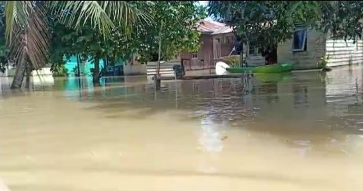 Banjir Muara Wahau Tenggelamkan 7 Desa, Ratusan Rumah Terendam