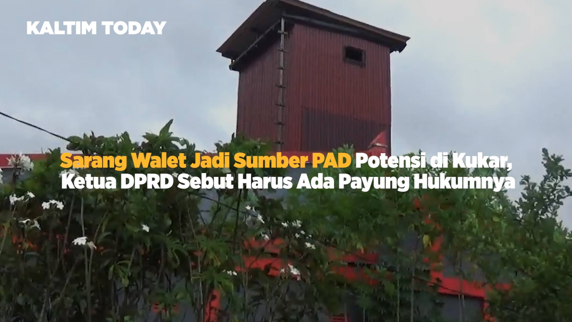 Kejar Potensi Sarang Walet, Ketua DPRD Abdul Rasid Bakal Susun Perda
