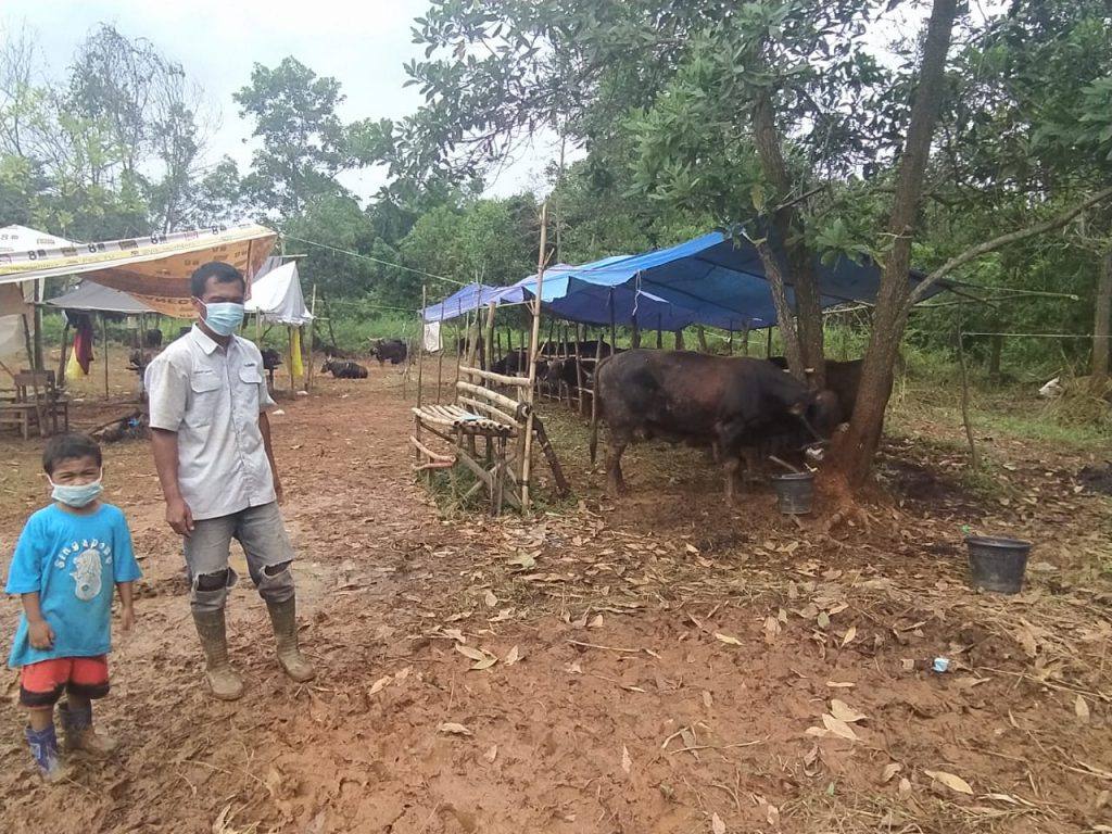 Idul Adha Saat Ppkm Rumah Pemotongan Hewan Kukar Banjir Pesanan