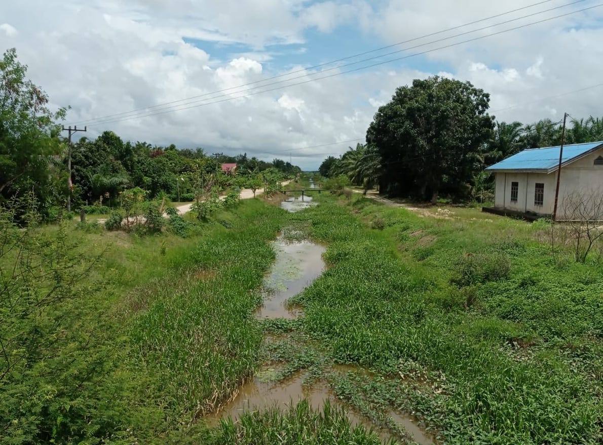 Bendungan Telake Tak Kunjung Selesai Dibangun, Petani di Babulu Masih Andalkan Tadah Hujan
