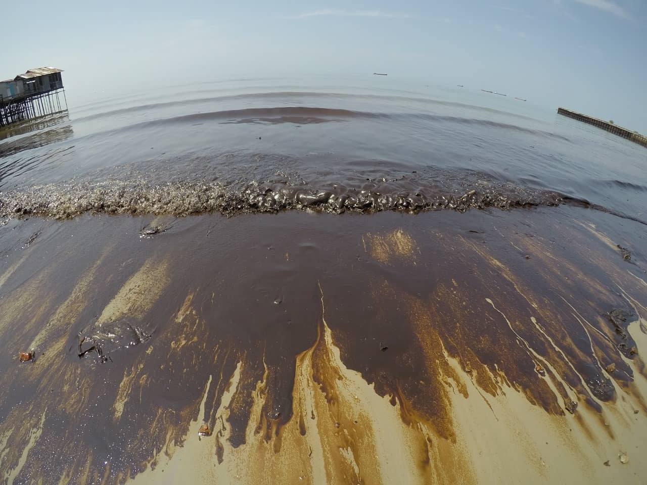 Tumpahan minyak di Teluk Balikpapan menimbulkan kerusakan biodata laut yang sangat parah.