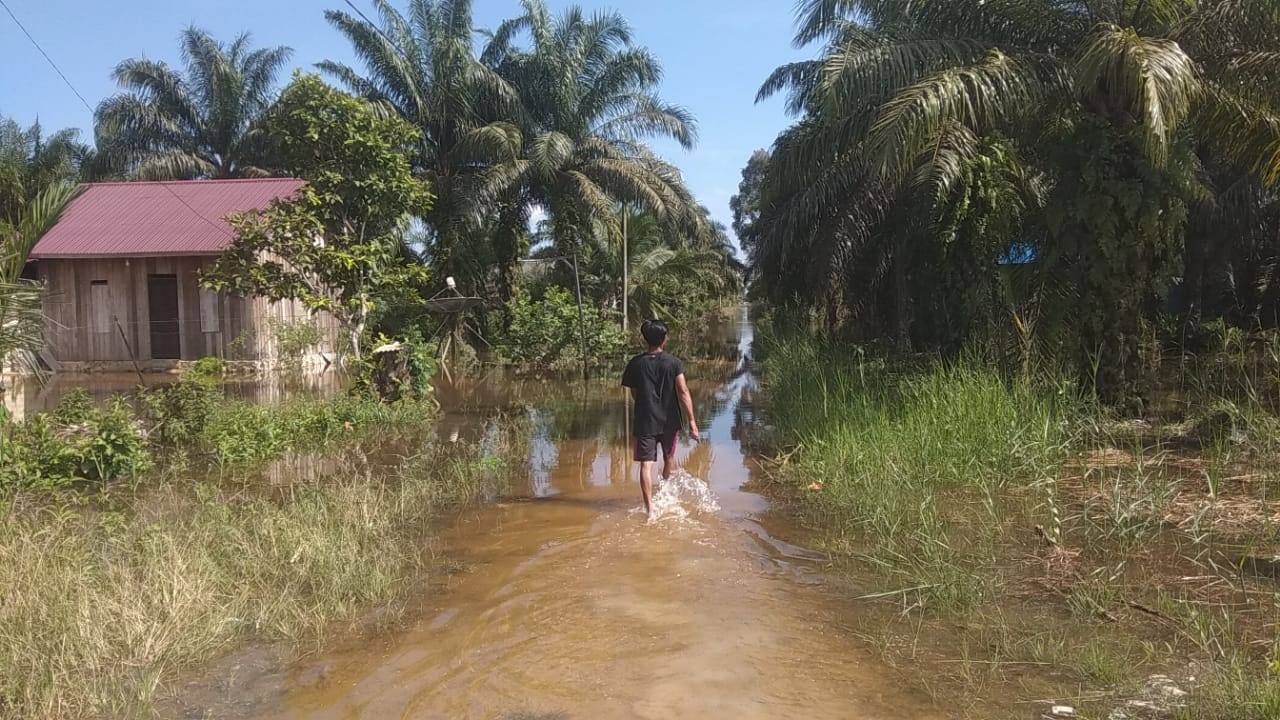 Dapat Kiriman Air dari Long Kali, Dua Desa di Kecamatan Babulu Terendam Banjir