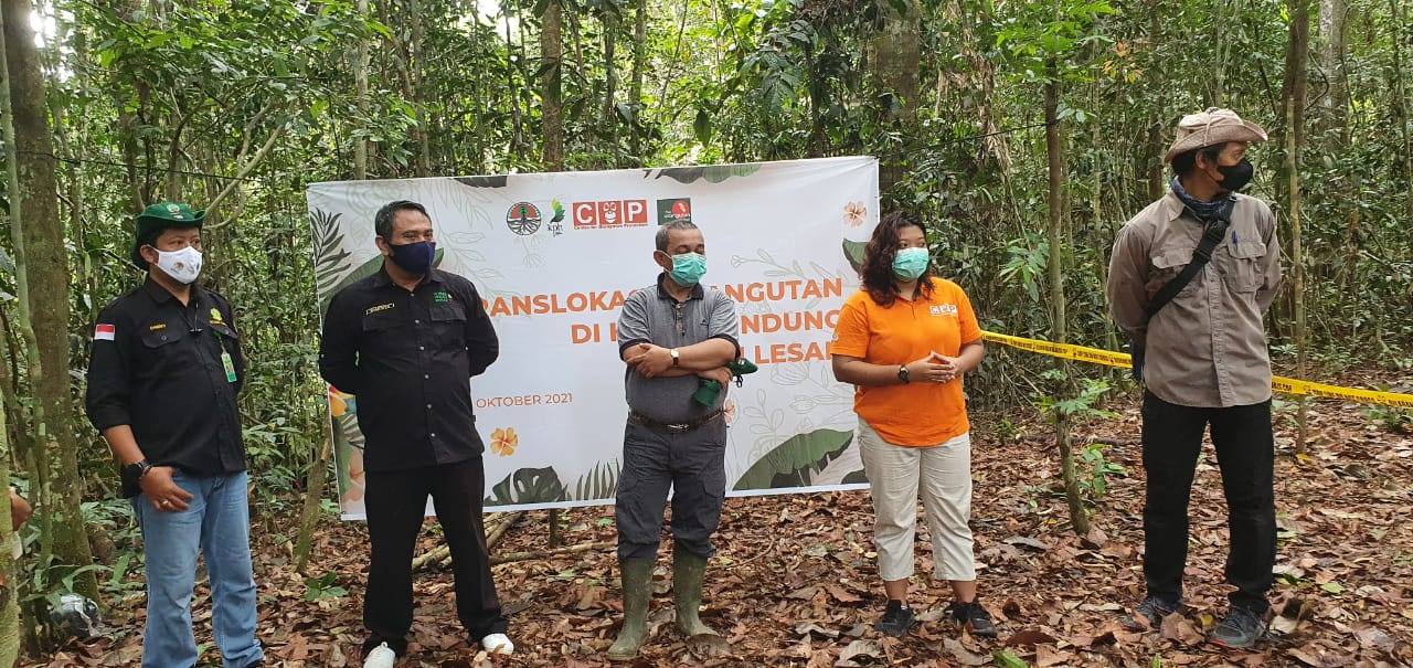 BKSDA-KPC-COP Lepasliarkan Satu Orangutan ke Hutan Lindung Sungai Lesan