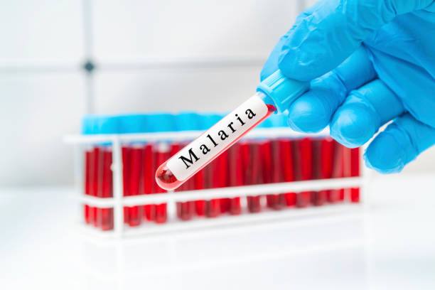 Kasus Malaria di PPU Kian Mengkhawatirkan, Sudah 300 Pasien Sejak Awal 2022