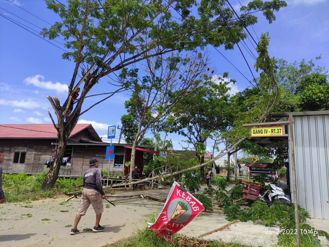 Bahayakan Pengendara, Masyarakat Loa Ipuh Gotong Royong Pangkas Pohon di Pinggir Jalan