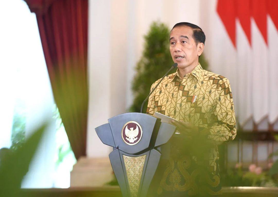 Kritik Kinerja 3 Menteri Ini, KNPI Minta Jokowi Beri Kartu Merah