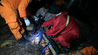 Proses evakuasi pemandu wisata dari Camp Jamaluddin di tengah Hutan Lindung Sungai Wain berjarak 8 kilometer jalan kaki. (Basarnas Balikpapan)