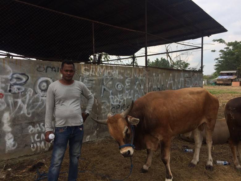 Wabah PMK Belum Ditemukan di Samarinda, Pemprov Kaltim Hentikan Pasokan Hewan Ternak dari Jatim dan NTB