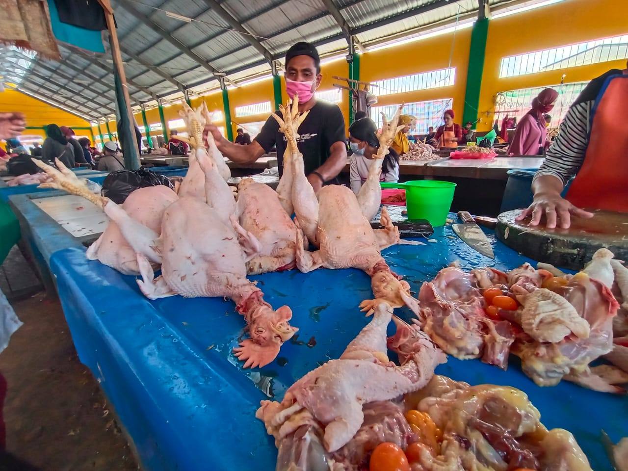 Jelang Nataru 2023, Harga Ayam Potong di Bontang Capai Rp65 Ribu