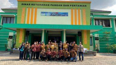 Puluhan petani dari tiga kecamatan di Berua mengikuti pelatihan dan studi banding ke Lamongan, Jawa Timur.