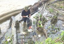 Mengambil sampah plastik yang berada di Sungai Mahakam, Samarinda, Minggu (18/9/2022)