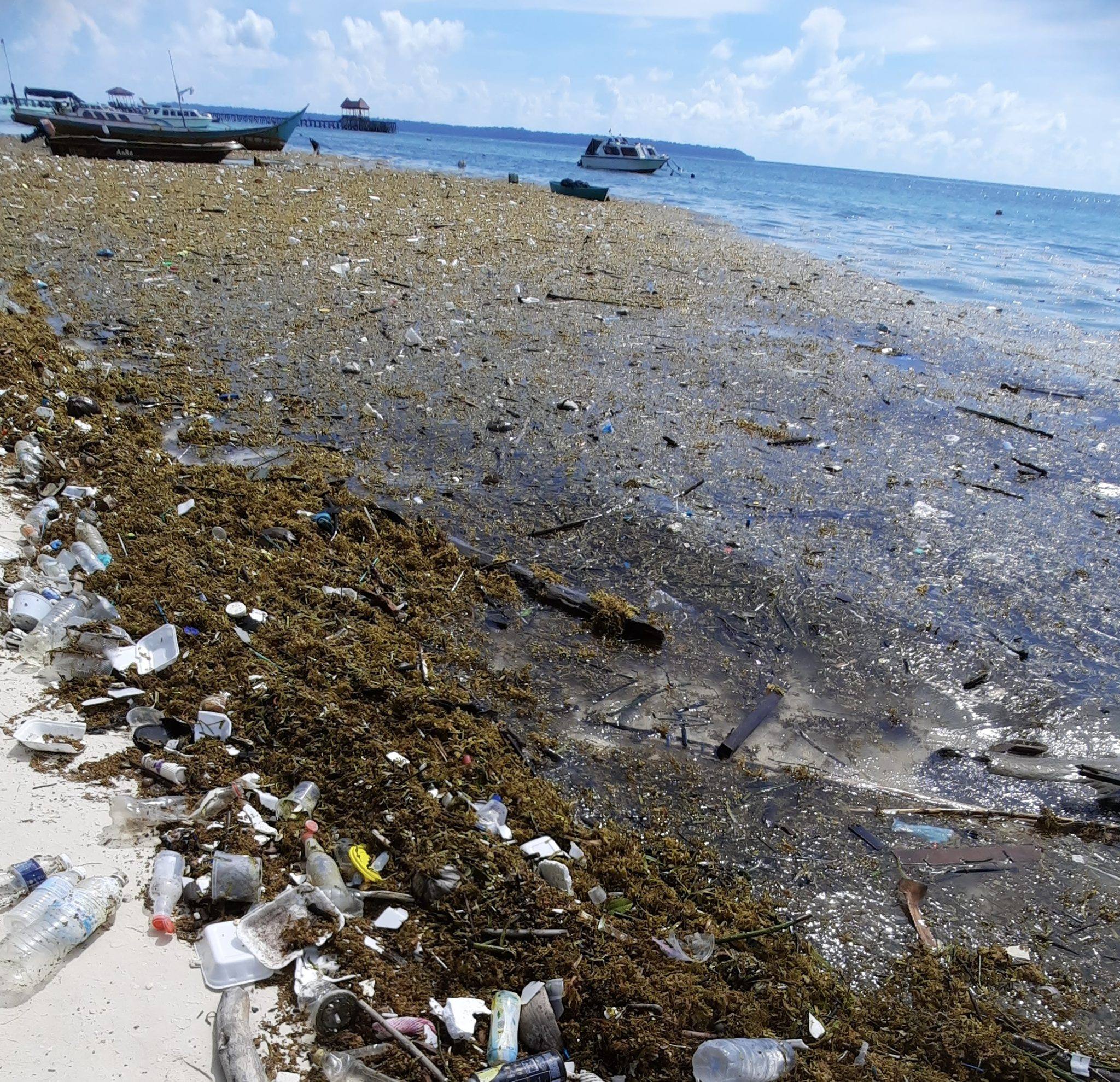 Sampah Kiriman Mulai Menepi di Pulau Maratua, Plastik hingga Batang Pohon Berserakan