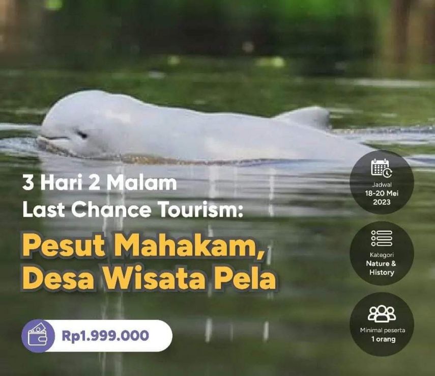 Pokdarwis Desa Pela dan Perusahaan Atourin Jalin Kerja Sama, Buka Trip Pesut Mahakam