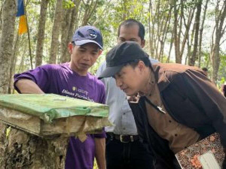 Dispar Kaltim Adakan Kunjungan ke Objek Wisata Kutim “Kebun Kelulut”