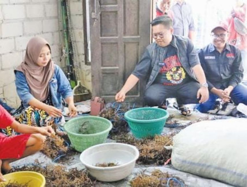 Wabup Kukar Salurkan 140 Ton Bibit Rumput Laut di Samboja