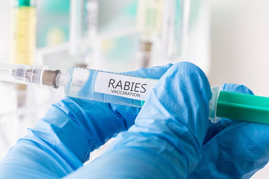 Hingga Pertengahan Tahun 2023, Laporan Gigitan Hewan Penular Rabies di Kukar Capai 67 Kasus