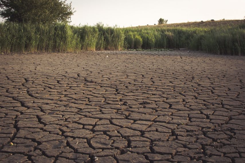Antisipasi Dampak El Nino di Sektor Pertanian, DPTPH Kaltim Instruksikan Petani Lakukan Percepatan Tanam