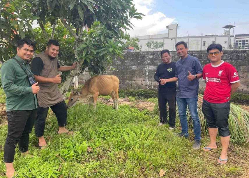 Tahun Ini, PWI dan SMSI Berau Sembelih 4 Ekor Sapi dan 2 Ekor Kambing