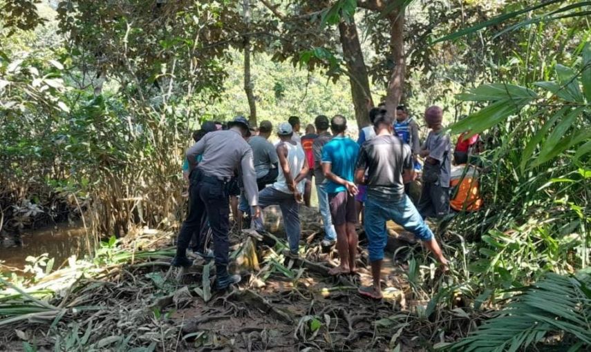 Warga di Melati Jaya Diterkam Buaya Saat Buang Air, Tim SAR Berhasil Evakuasi Korban