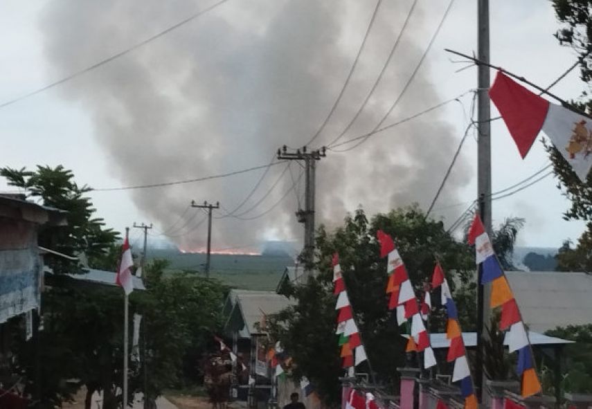 Lahan Gambut Seluas 10 Hektare di Desa Sabintulung Terbakar