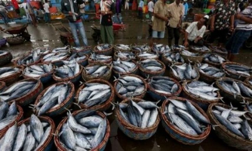 DKP Kaltim Akui Penangkapan Ikan Ilegal Masih Marak Terjadi