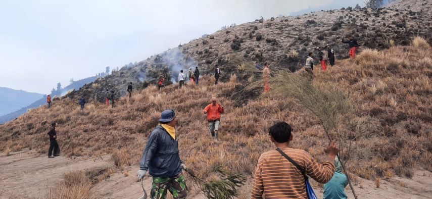Wisata Gunung Bromo Tutup Sementara, Berikut Kronologi Kebakaran Akibat Flare Saat Sesi Foto Prewedding