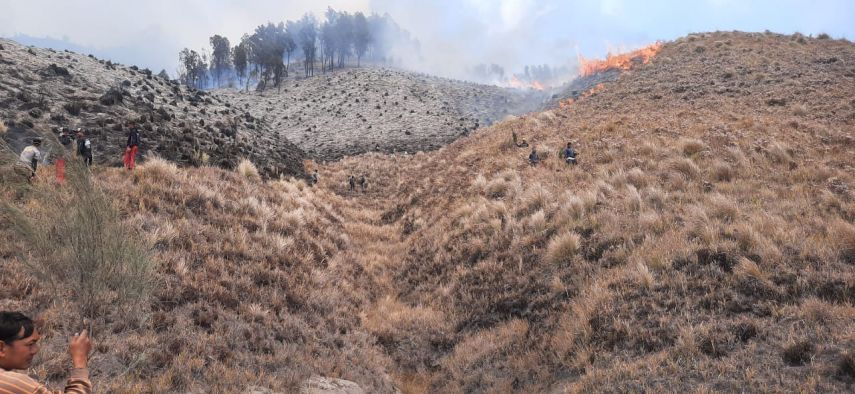 Kebakaran Lahan Gunung Bromo Belum Padam: Adanya Pusaran Api hingga Pipa Air Rusak di 6 Desa