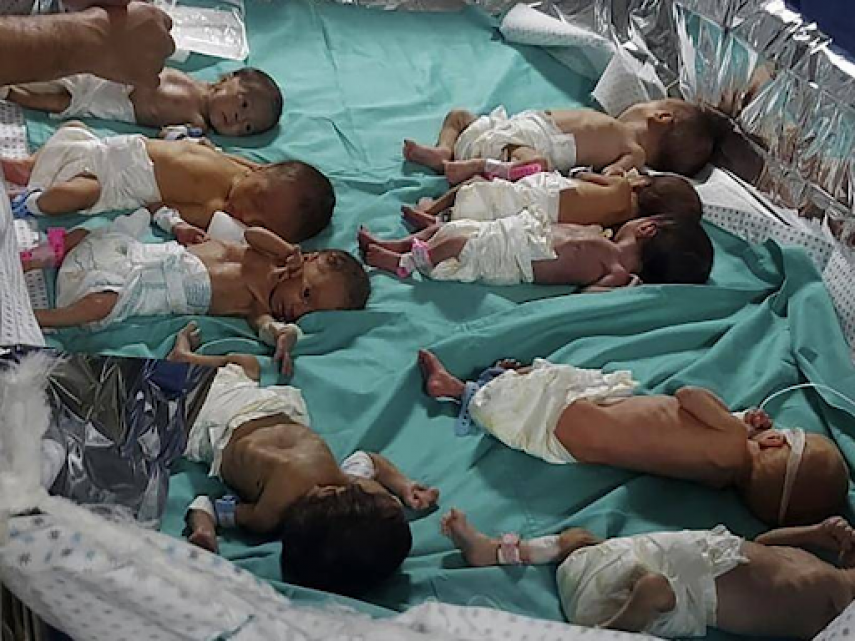 Evakuasi 28 Bayi Prematur dari Gaza ke Mesir, 11 Diantaranya Dalam Kondisi Kritis