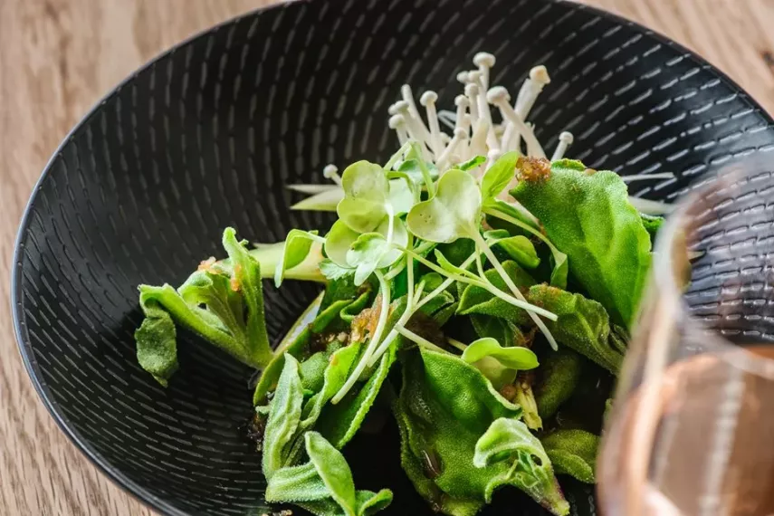 Mengenal Manfaat dan Cara Membuat Ice Lettuce Salad, Sayur Viral di TikTok