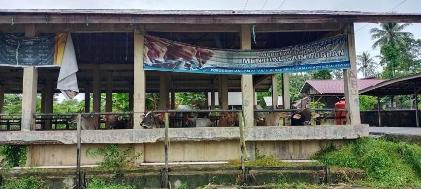 DPMPTSP Kaltim Targetkan Pembangunan RPH Terpadu Modern di Samarinda sebagai Potensi Investasi Utama