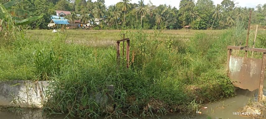 Berdampak Hilangkan Resapan Air Pertanian, 5 RT di Kelurahan Mangkurawang Menolak Aktivitas Tambang Ilegal