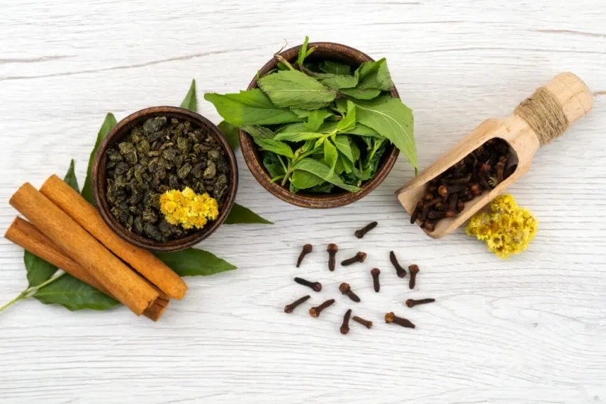 12 Khasiat dan Manfaat Tanaman Herbal agar Hidup Sehat, Apa Saja?