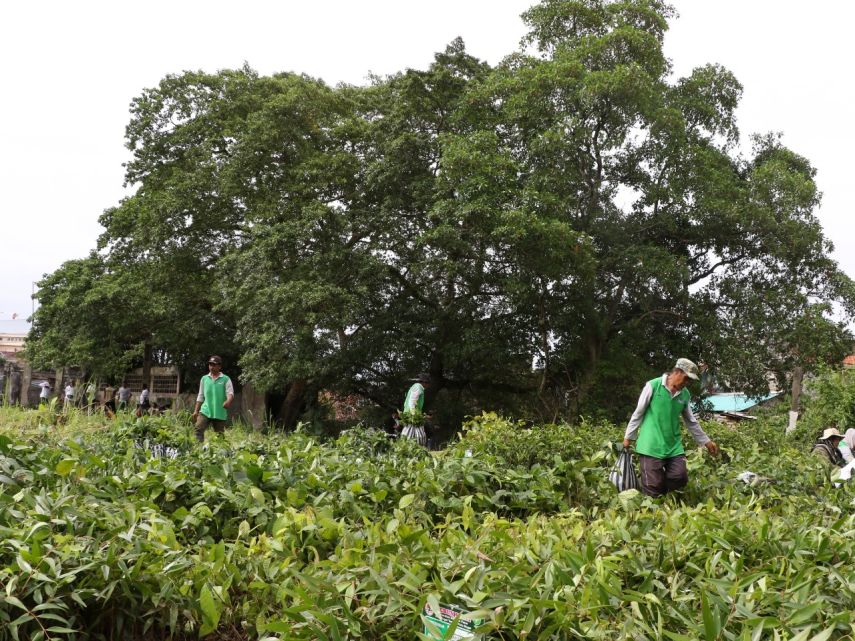 Penghijauan Lahan Bekas Tambang di Makroman Dilanjutkan, Ditanami 2.000 Pohon Kayu Putih