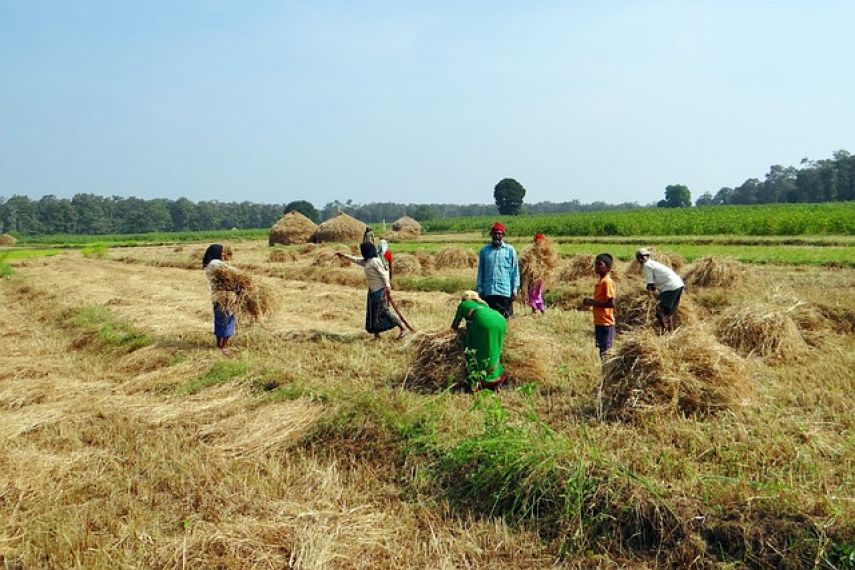 Tingkatkan Ekonomi Petani dan Menarik Wisatawan, Bupati Kutim Dorong Agrowisata Sawah