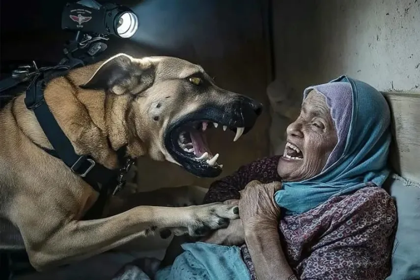 Biadab! Enggan Tinggalkan Rumah, Anjing Milik Israel Serang Lansia Palestina 66 Tahun di Jabalia