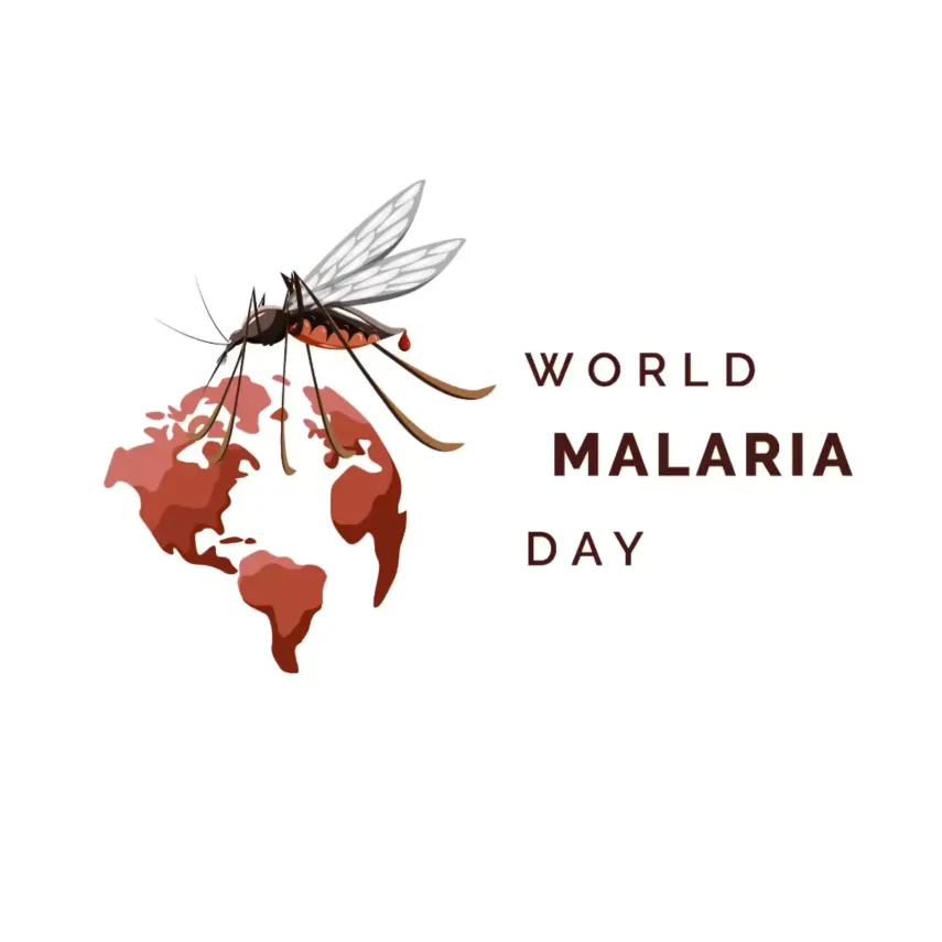 Kemenkes Umumkan Status 17 Daerah Indonesia Bebas Malaria