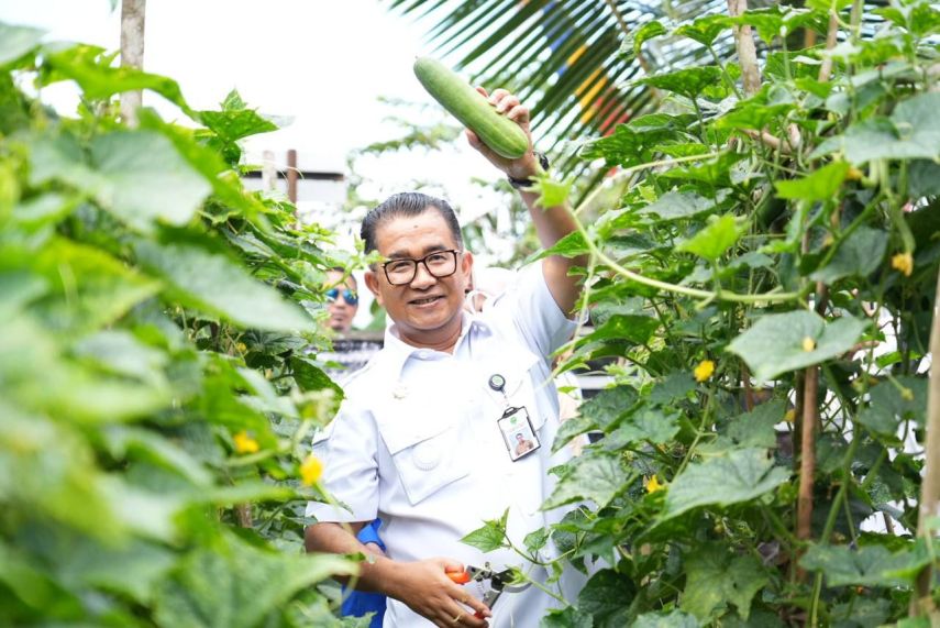 Sinergi dan Inovasi Pertanian Kaltim, Akmal Malik Panen Perdana Tanaman Organik di Politani Samarinda