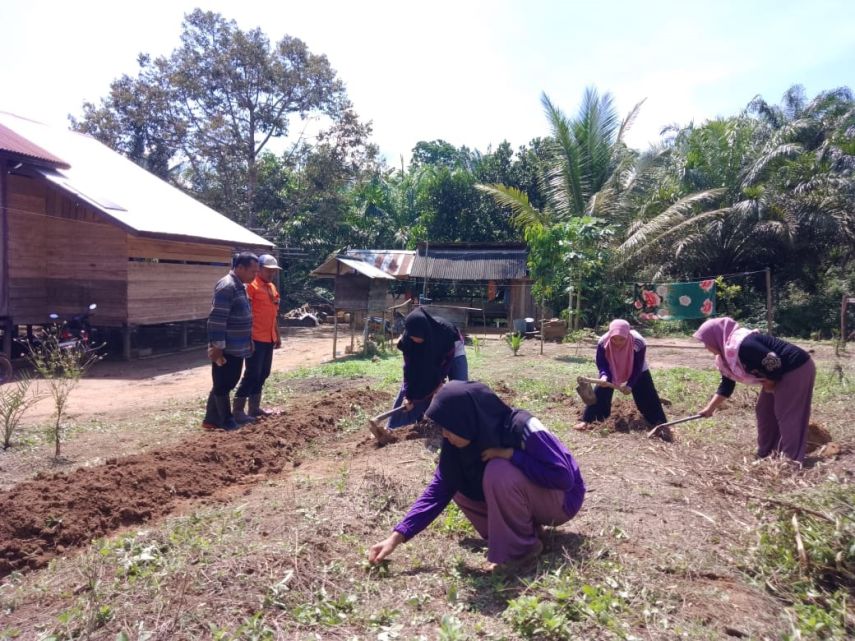 PT Indexim Coalindo Konsisten Berdayakan Perempuan melalui Pelatihan Teknik Hortikultura
