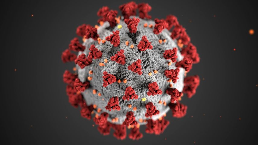 Berapa Lama Virus Polio Bisa Bertahan di Lingkungan? Ini Penjelasannya
