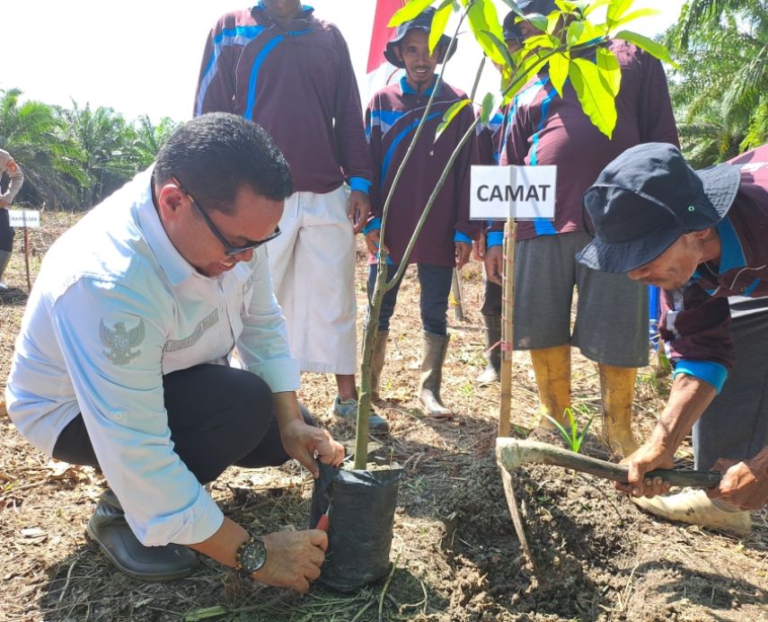 Camat Muara Jawa Apresiasi Perusahaan Berikan Bantuan Ratusan Bibit Pohon Buah