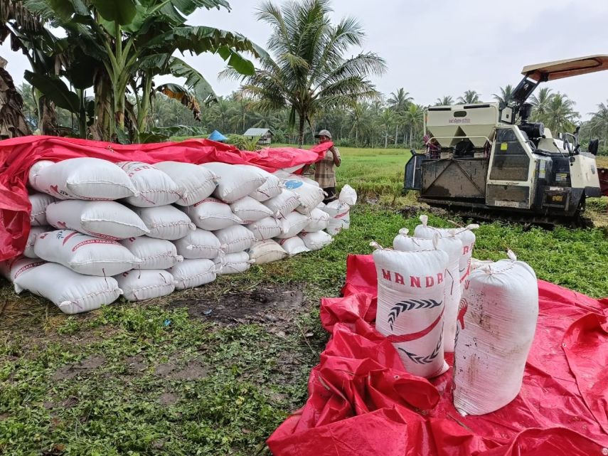 BUMDes Sumber Purnama Berjuang Tingkatkan Kualitas di Tengah Tantangan SDM dan Produksi