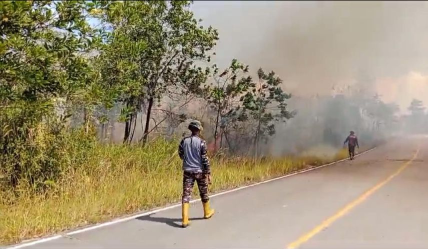 Kurang dari Seminggu, Dua Insiden Karhutla Terjadi di Berau, BPBD Siap Siaga