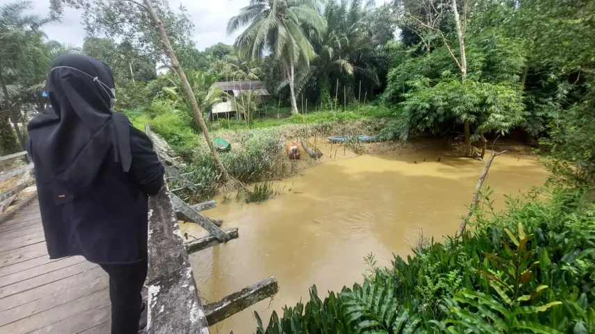 Tak Ada Upaya Pemulihan, Sungai Pemaluan di IKN Terancam Rusak Permanen